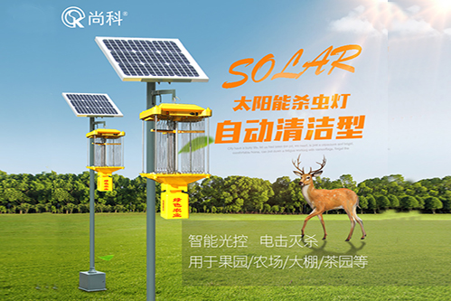 太陽(yáng)能自動(dòng)清蟲殺蟲燈效果好TDZ40